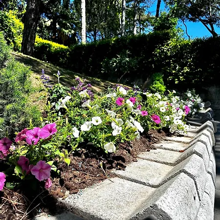 Greif Lignano Sabbiadoro