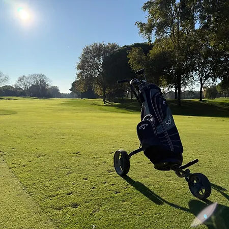 Greif * Lignano Sabbiadoro