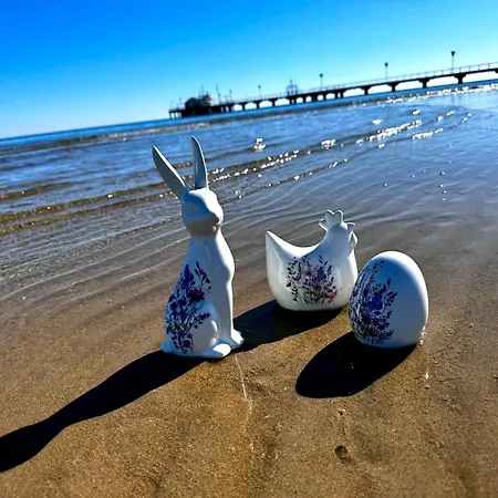 Greif * Lignano Sabbiadoro