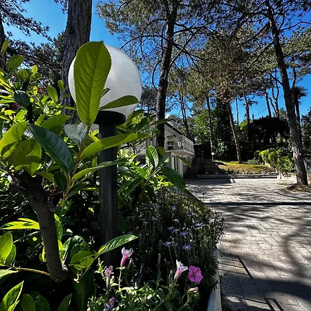 Greif * Lignano Sabbiadoro