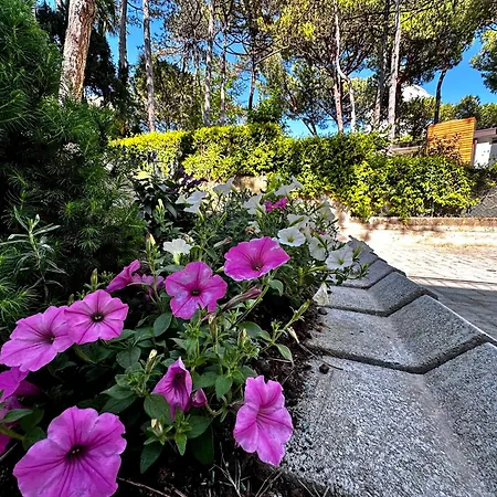 Villa Greif